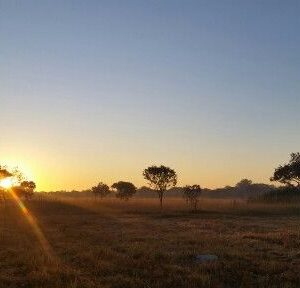 beautiful sunset
