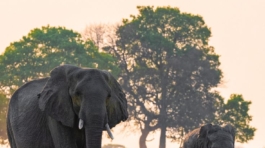 9b6beb28d3d82a3928d79ac19dc78081