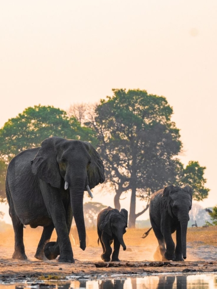 9b6beb28d3d82a3928d79ac19dc78081