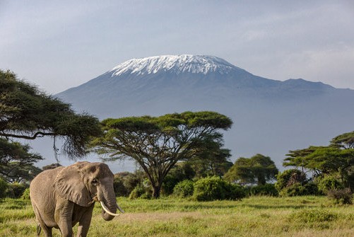 mt kenya