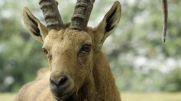 6f864ca22e11d374d353c743b361e21a