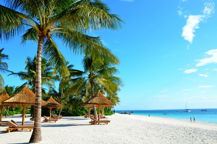 beachside view
