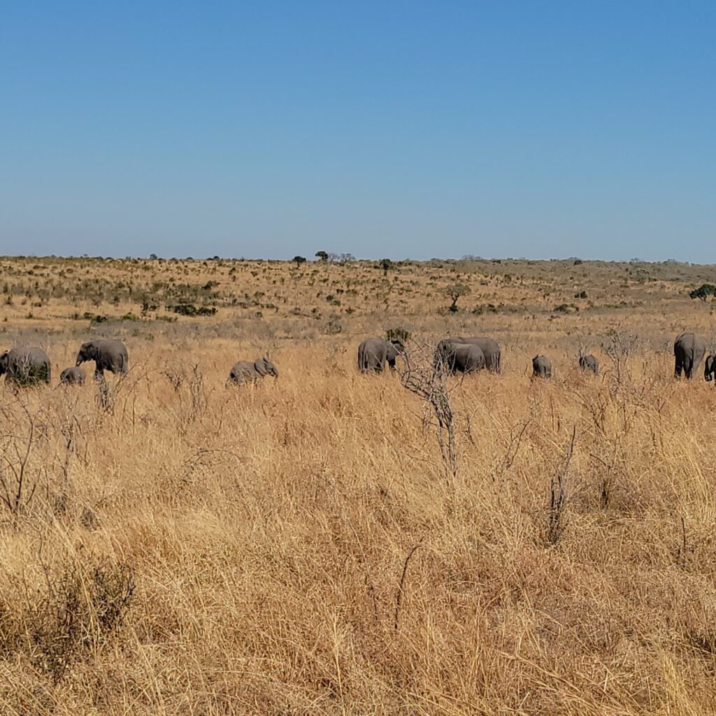 WhatsApp Image 2025-08-17 at 07.55.24