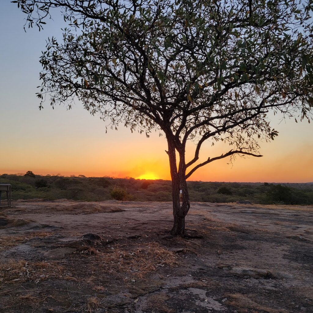 WhatsApp Image 2025-08-17 at 08.00.03