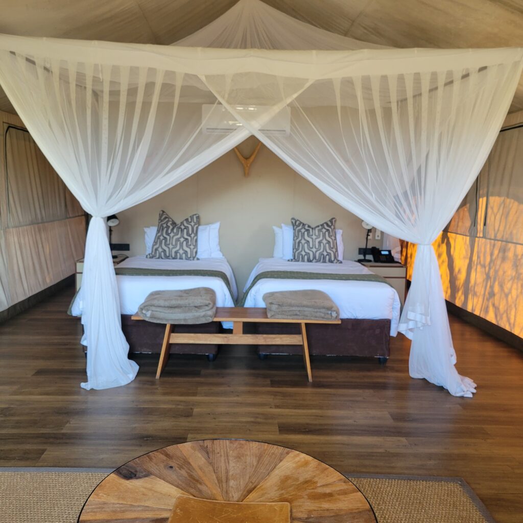 WhatsApp Image 2025-08-17 at 08.05.38