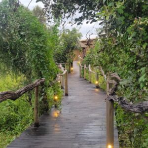 lodge path
